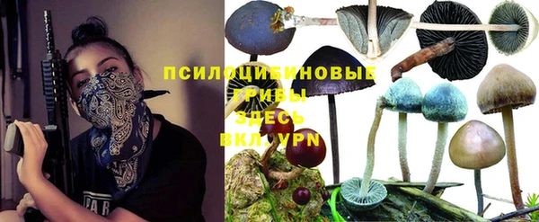 героин Белокуриха